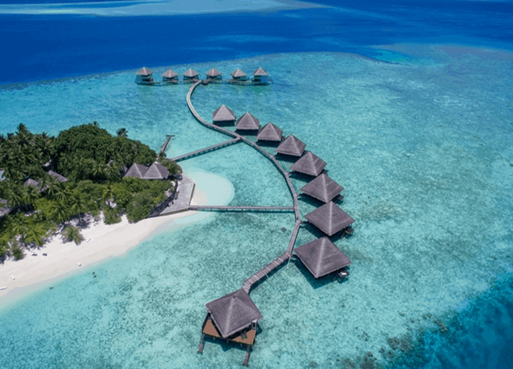 maldives tour package from chennai including flight