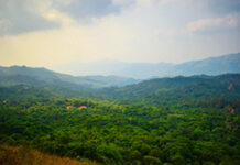 tour packages to coorg from chennai