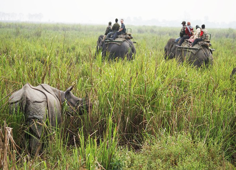 assam tour package from chennai