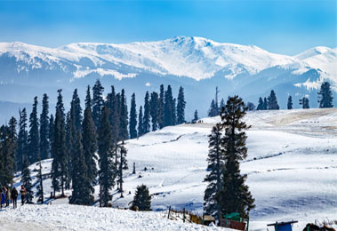 shimla manali tour route